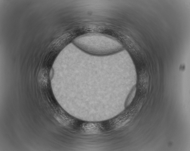 X0000116800129201001291548