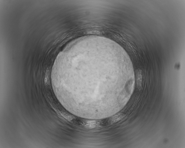 X0000116800130201001291548