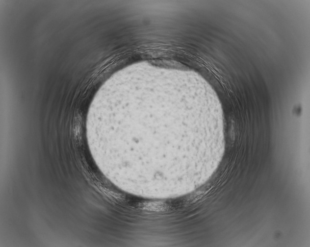 X0000116800132201001291548