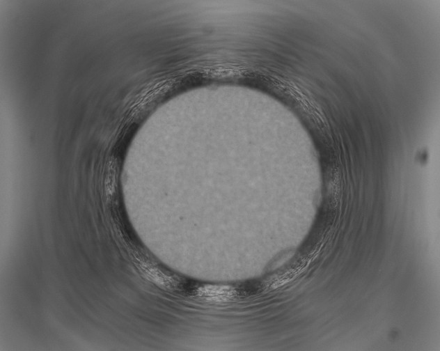 X0000116800133201001291548