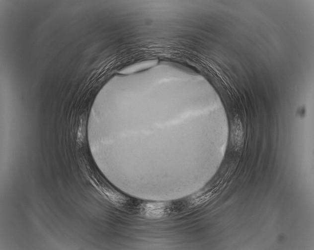 X0000116800134201001291548