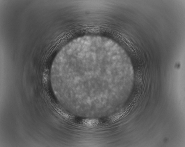 X0000116800135201001291548
