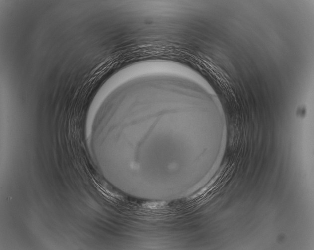 X0000116800136201001291548