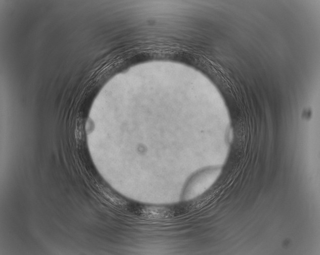 X0000116800137201001291548