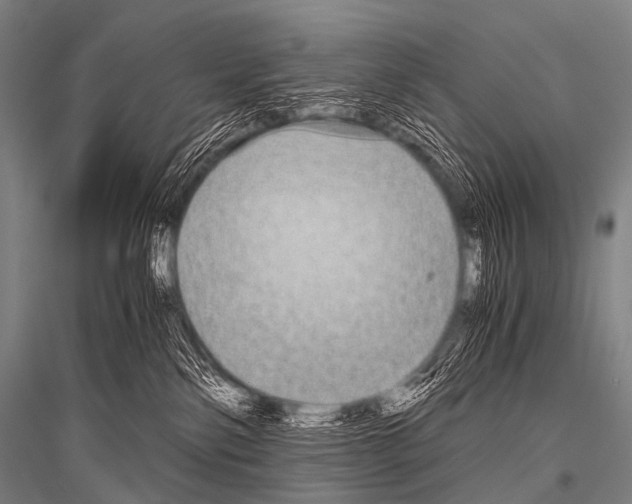 X0000116800138201001291548