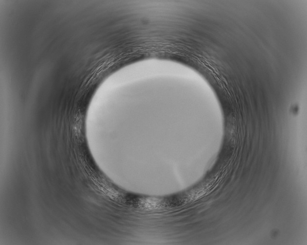 X0000116800139201001291548