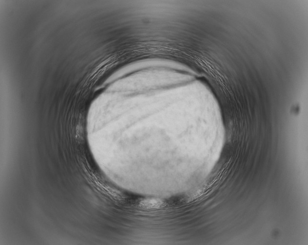 X0000116800140201001291548