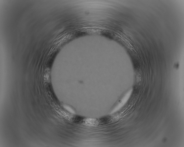 X0000116800141201001291548