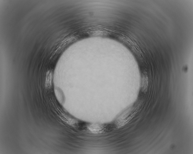 X0000116800142201001291548