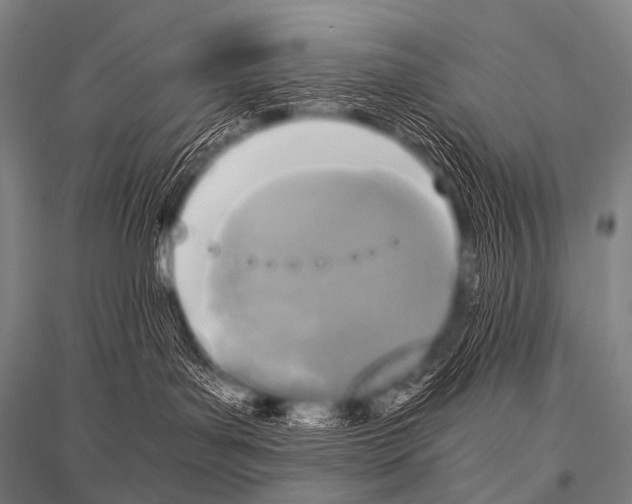 X0000116800143201001291548