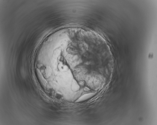 X0000116800145201001291547