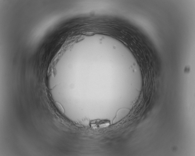 X0000116800146201001291547