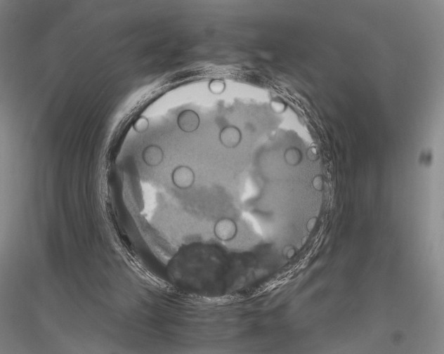 X0000116800149201001291547