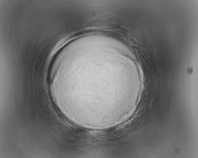 X0000116800150201001291547