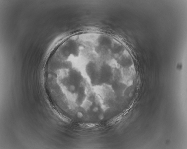 X0000116800151201001291547