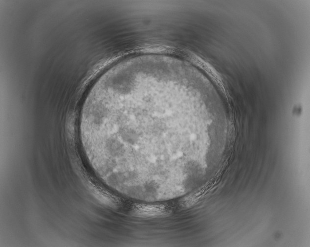 X0000116800155201001291547