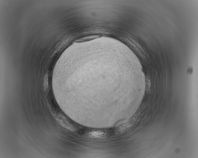 X0000116800158201001291547