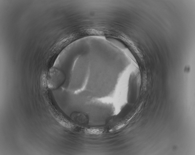 X0000116800161201001291547