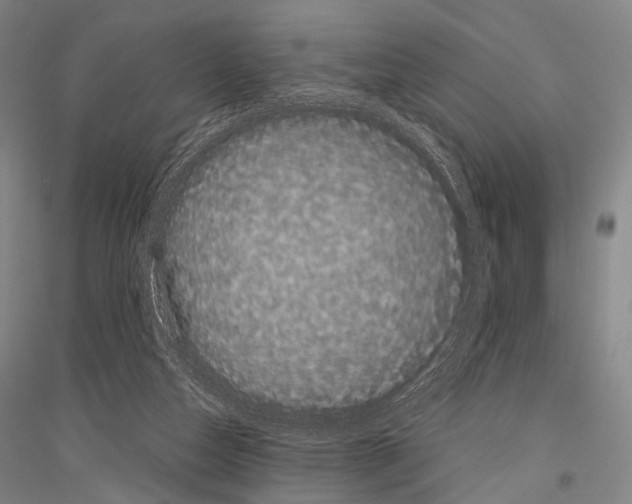 X0000116800162201001291548
