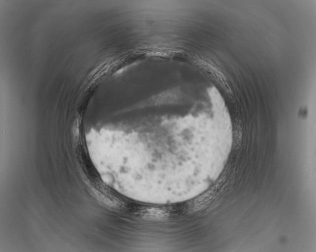 X0000116800166201001291548