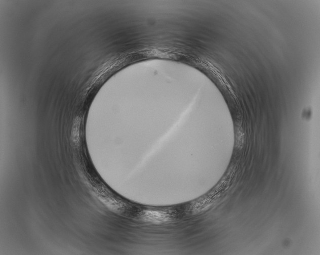X0000116800167201001291548