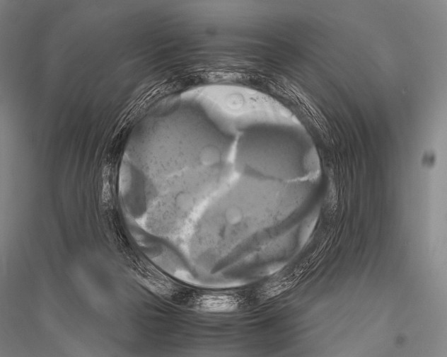 X0000116800169201001291548