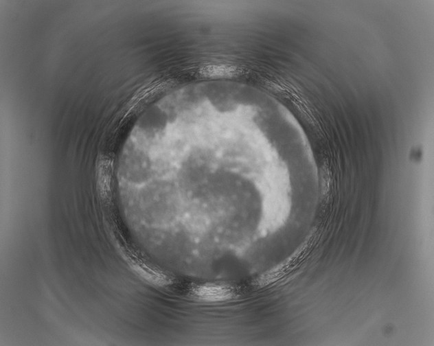 X0000116800171201001291548