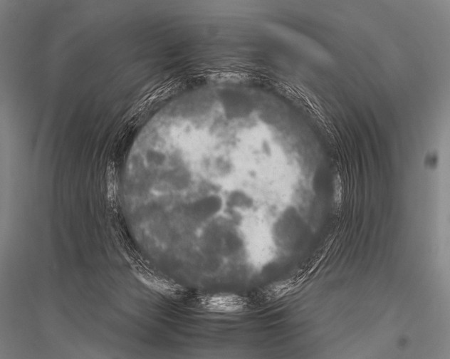 X0000116800173201001291548