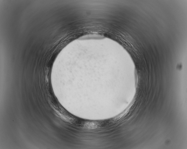 X0000116800174201001291548