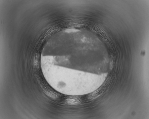 X0000116800175201001291548