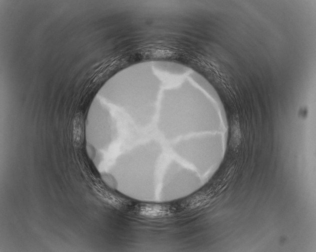 X0000116800177201001291548