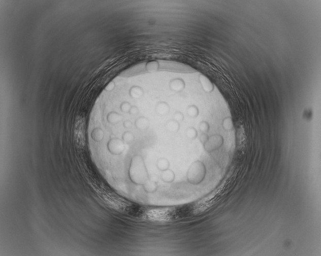 X0000116800178201001291548