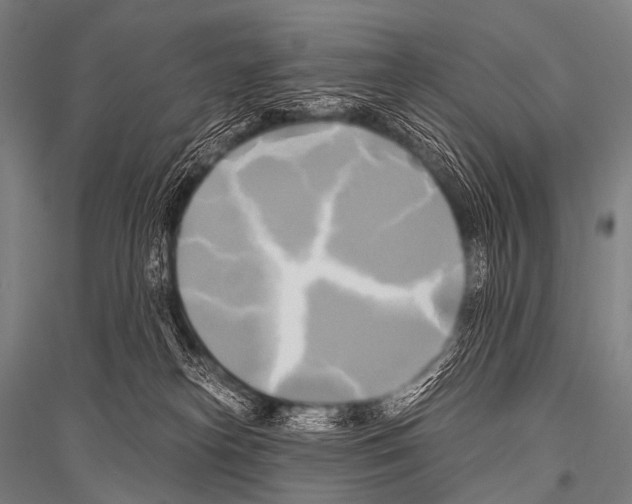 X0000116800182201001291548