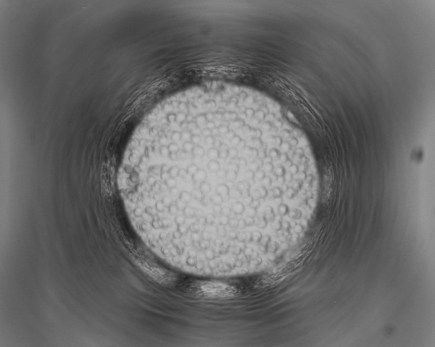 X0000116800183201001291548