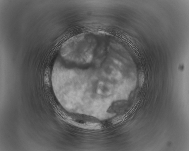 X0000116800185201001291548