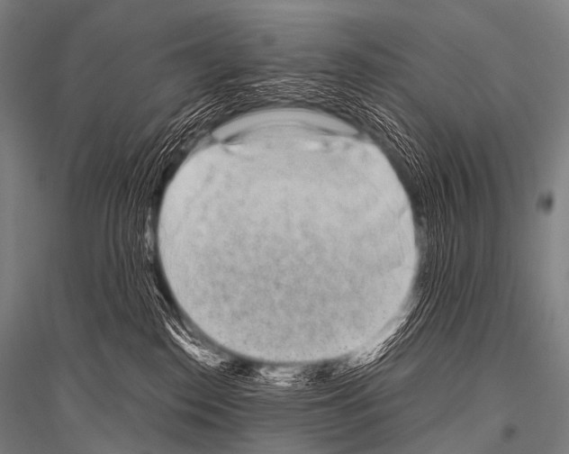 X0000116800186201001291548