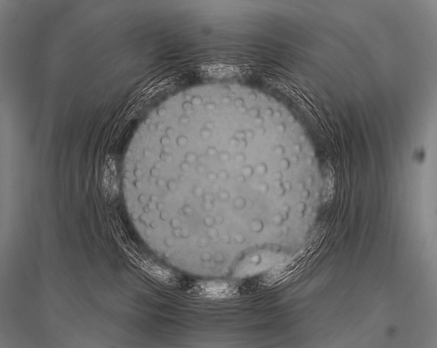 X0000116800187201001291548