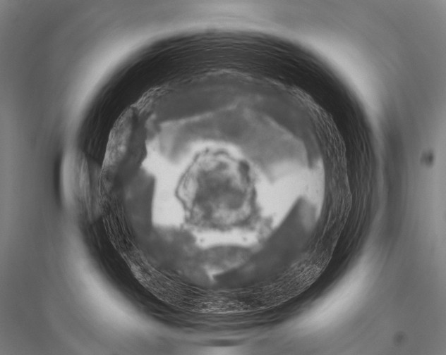 X0000116800189201001291548