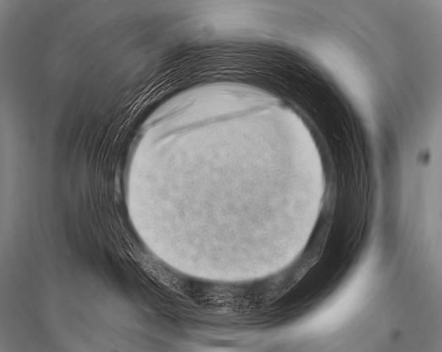 X0000116800190201001291548
