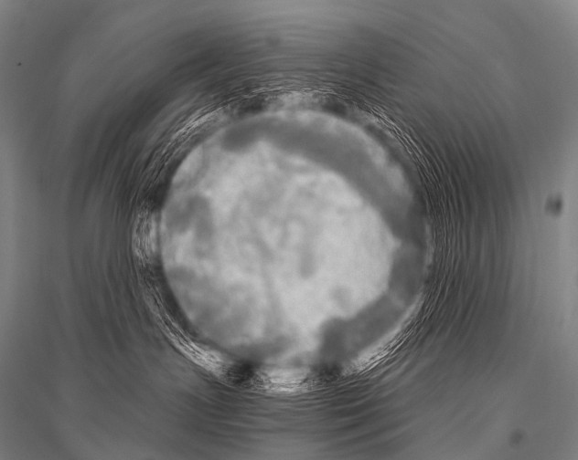 X0000116800191201001291548