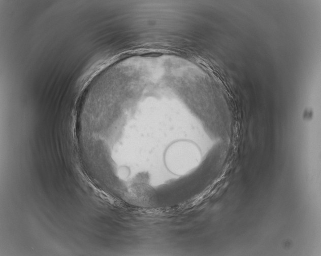 X0000116800194201001291547