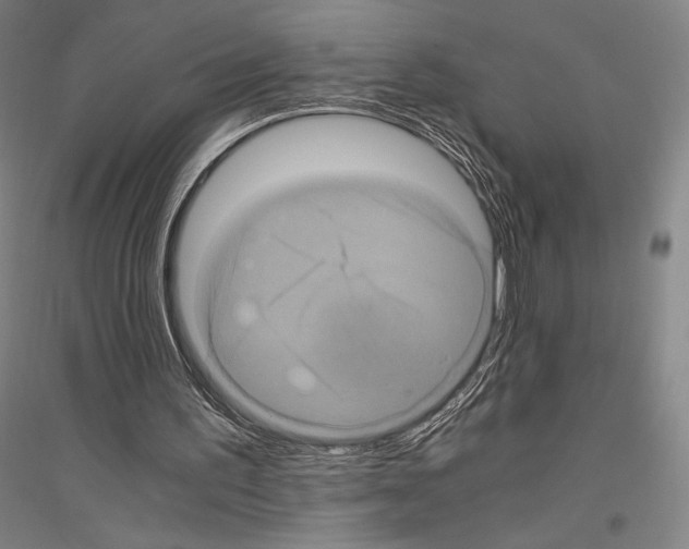 X0000116800195201001291547