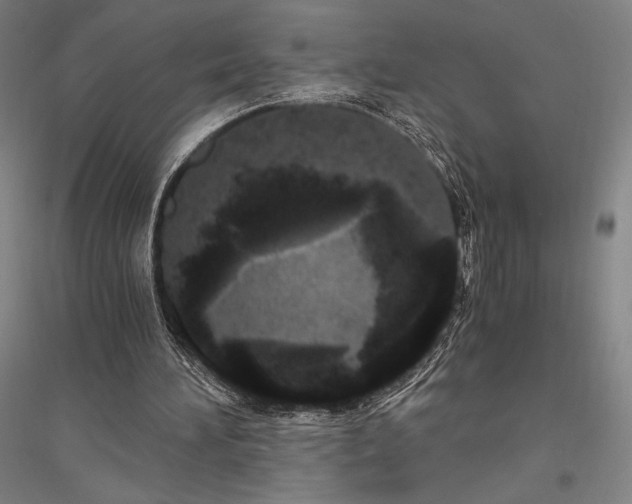 X0000116800196201001291547