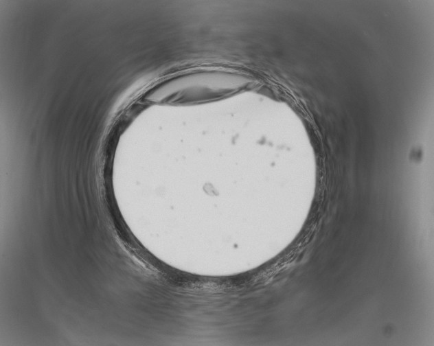 X0000116800197201001291547