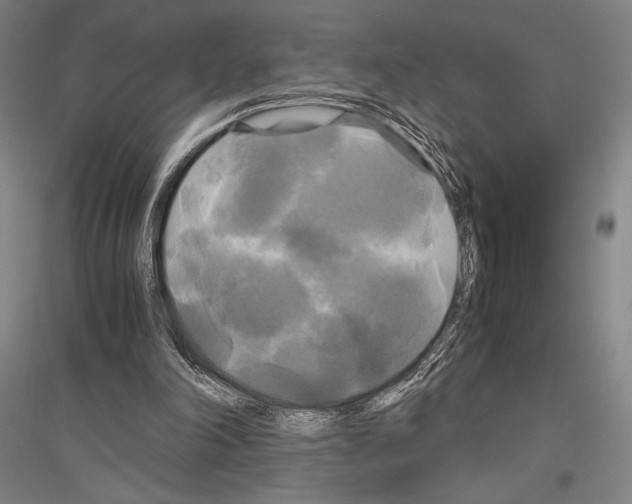 X0000116800198201001291547