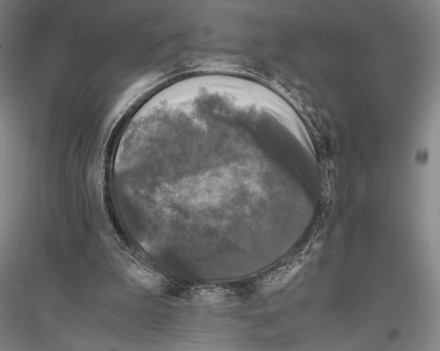 X0000116800199201001291547