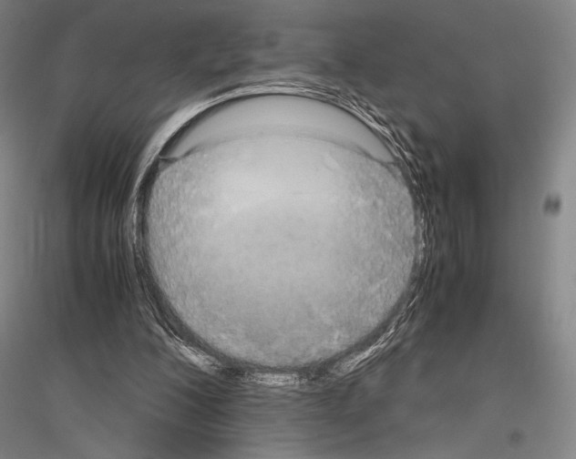 X0000116800200201001291547