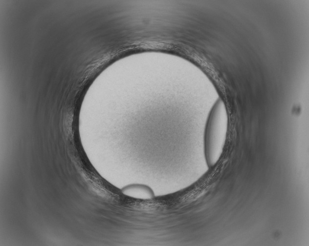 X0000116800201201001291547