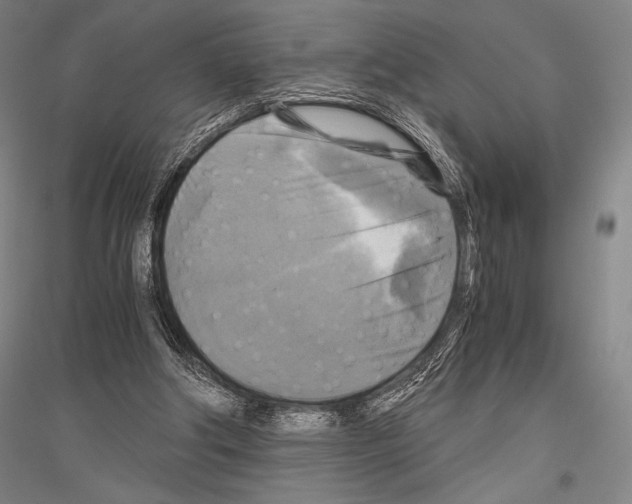 X0000116800202201001291547