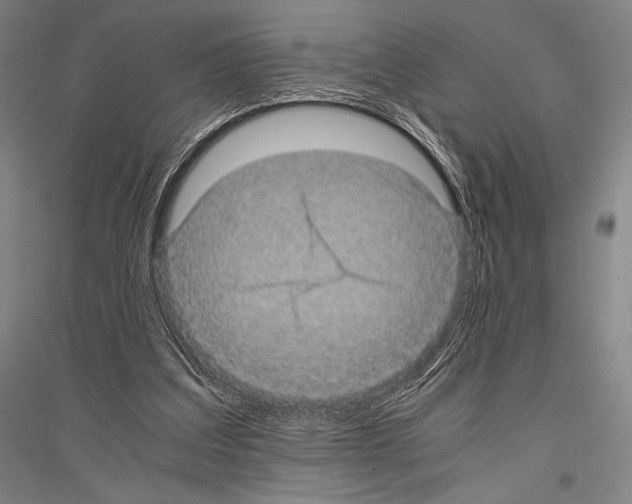 X0000116800203201001291547
